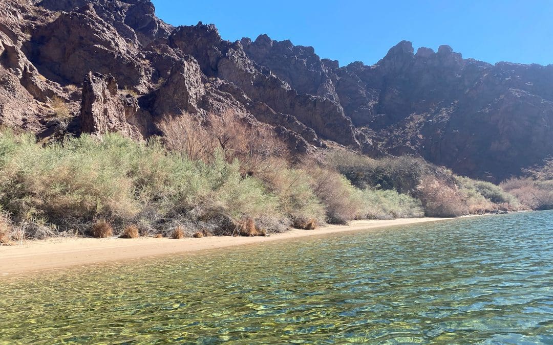 Discover the Hidden Wonders of Boy Scout Canyon
