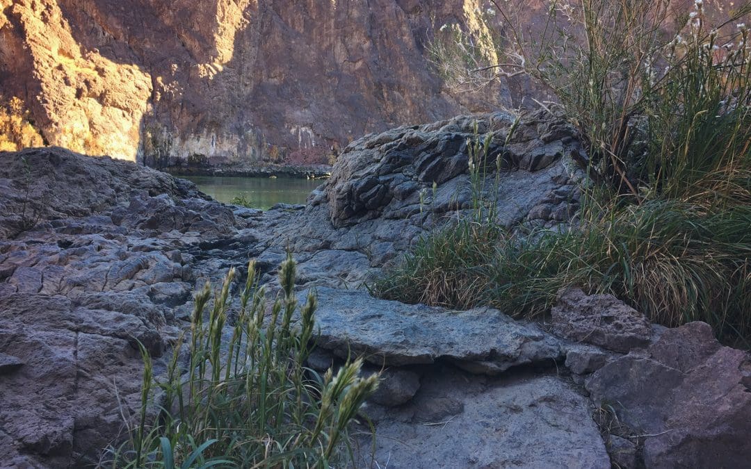 The Incredible Healing Power of Natural Hot Springs