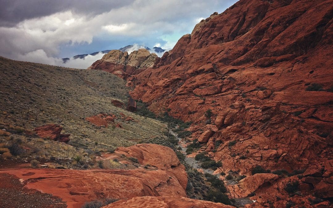 Discovering the Colorful Secrets of Red Rock Canyon