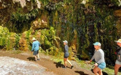 Boy Scout Canyon Slot Canyon and Hot Springs Visiting Guide